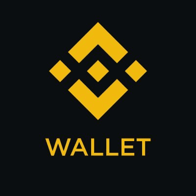 Binance Wallet — recovered source logo
