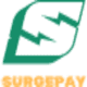 SurgePay — recovered source logo